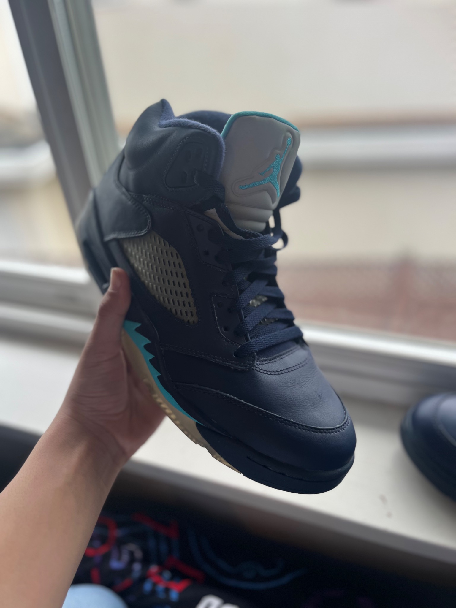 Jordan 5 Pre Grapes